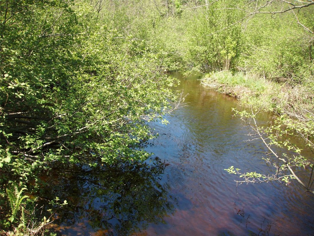 W9798 Fleming Road, Park Falls WI 54552 - Residential house for sale - MLS #1600486 - image53