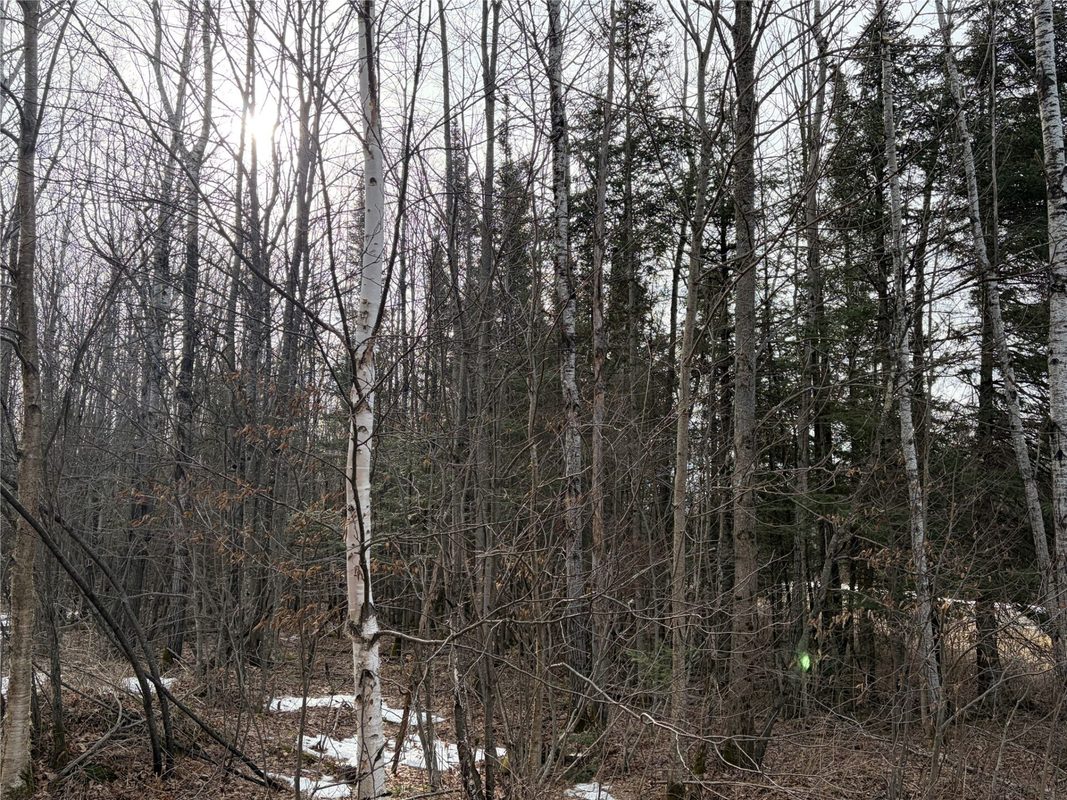ON County Highway B, Winter WI 54896 - Land house for sale - MLS #1599277 - image5