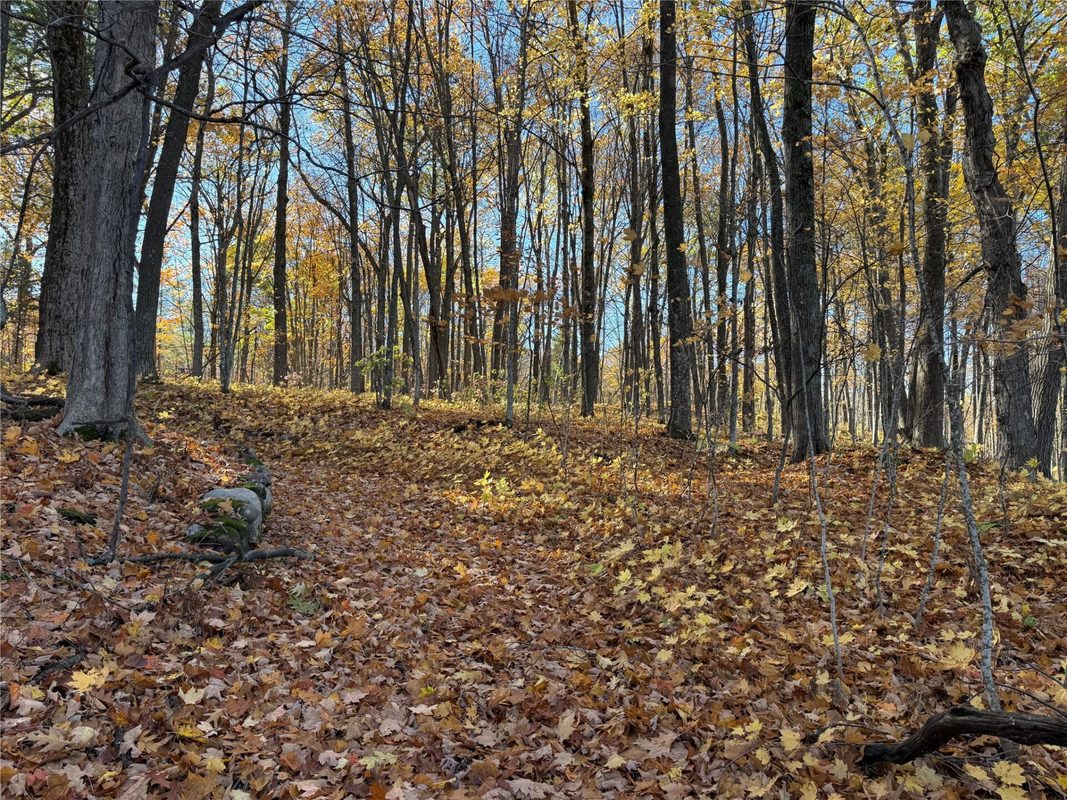 XXX County Hwy MD, Sarona WI 54870 - Land house for sale - MLS #1605948 - image21