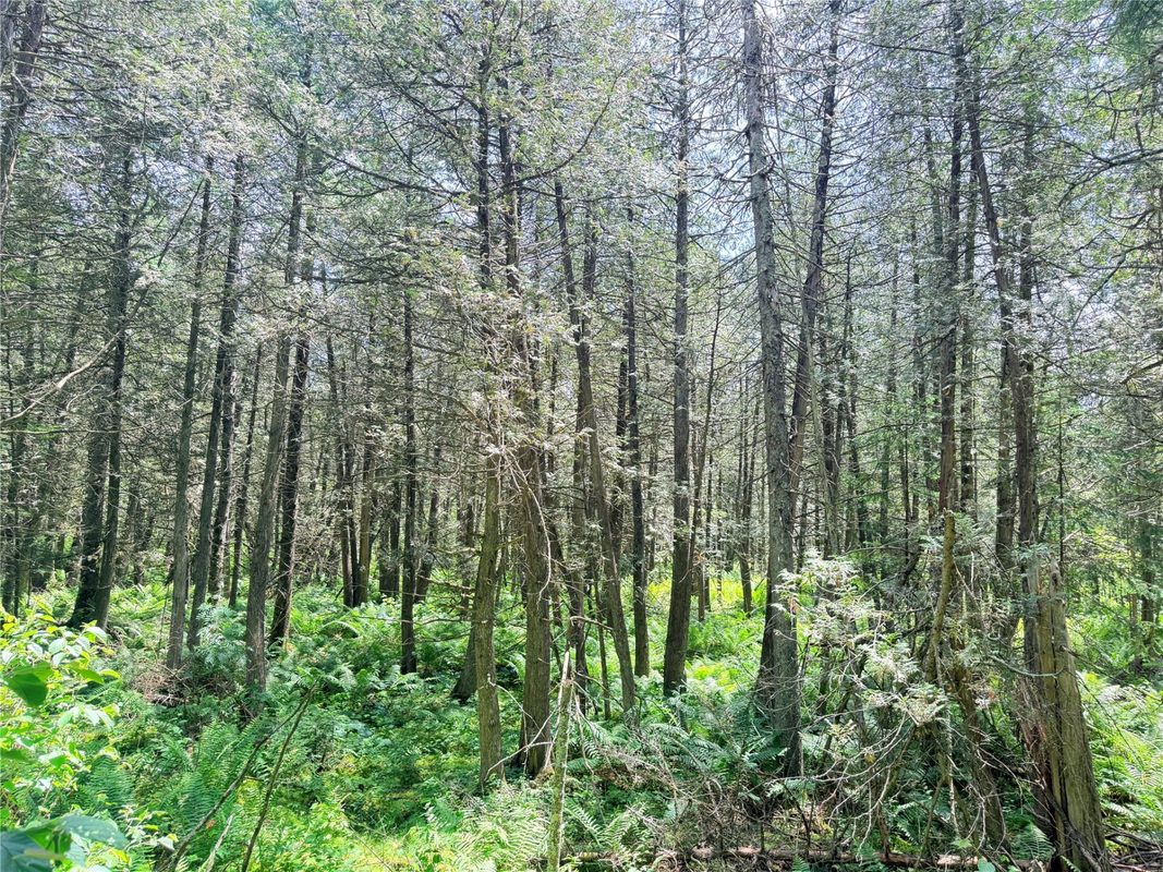 W11097 Boat Landing Road, Ladysmith WI 54848 - Land house for sale - MLS #1605411 - image9