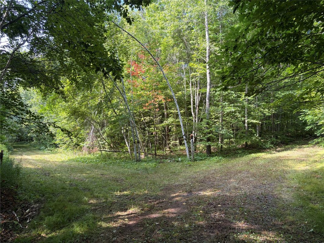 On Strabel Road, Stone Lake WI 54876 - Land house for sale - MLS #1604177 - image24