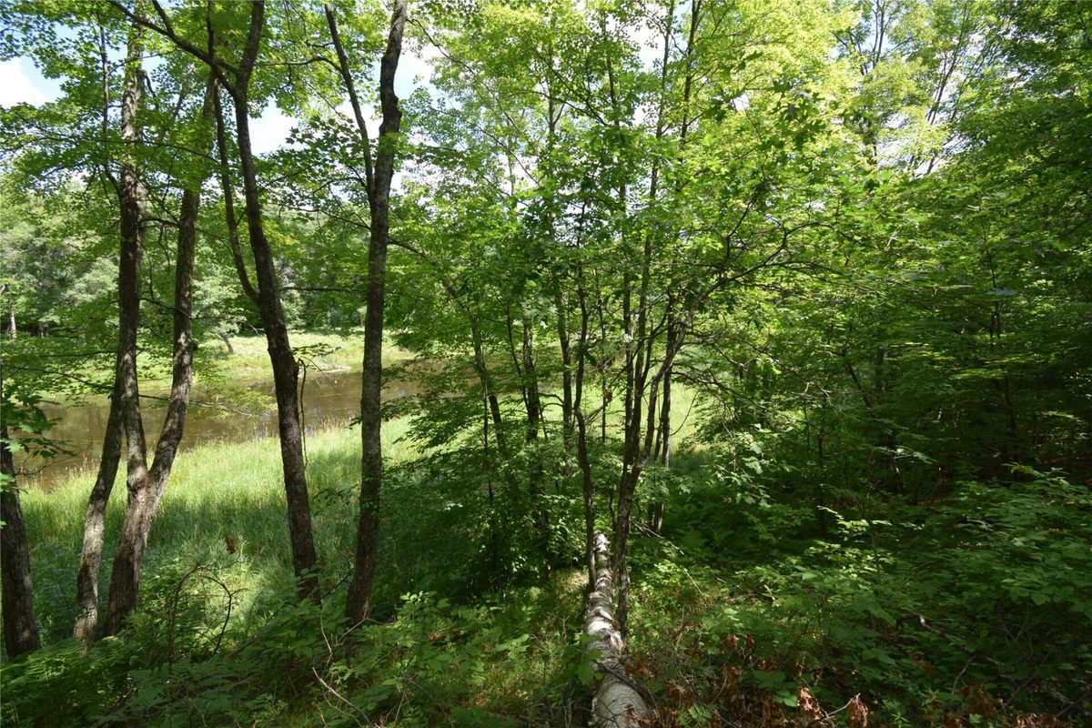 Lot 2 Saylors Lane, Siren WI 54872 - Land house for sale - MLS #1603029 - image3