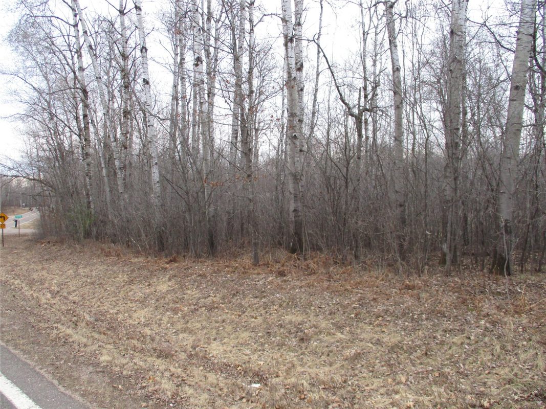 Lot #24 28 11/16 Street, Birchwood WI 54817 - Land house for sale - MLS #1599869 - image6