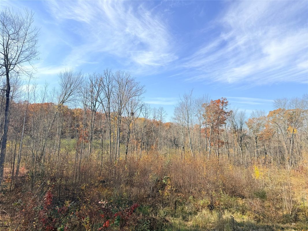 0 County Highway C, Rice Lake WI 54868 - Land house for sale - MLS #1605929 - image28
