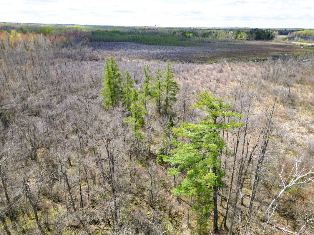 36.5 Acres E Cedarbrook Road, Ladysmith WI 54848 - Land house for sale - MLS #1601172 - image12