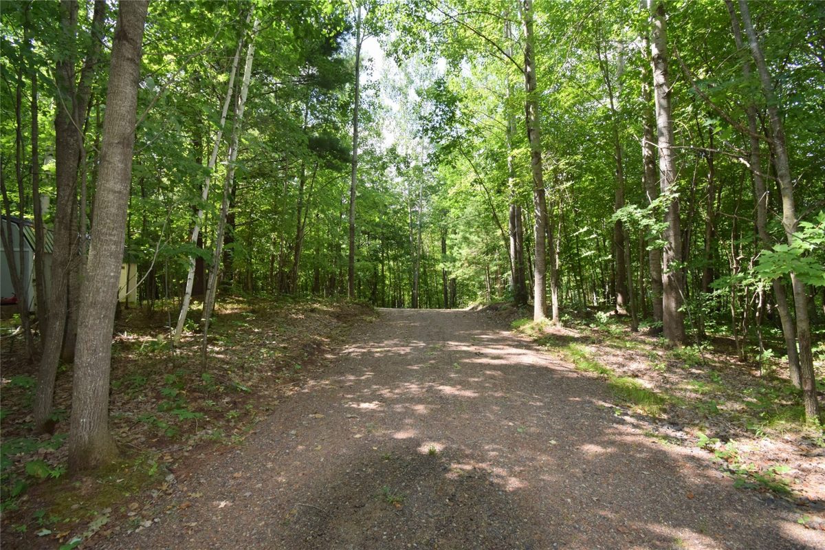 4646 Whitetail Path, Webster WI 54893 - Land house for sale - MLS #1604469 - image45