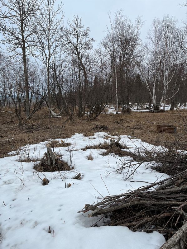 10427 Devries Road, Poplar WI 54864 - Land house for sale - MLS #1599941 - image17