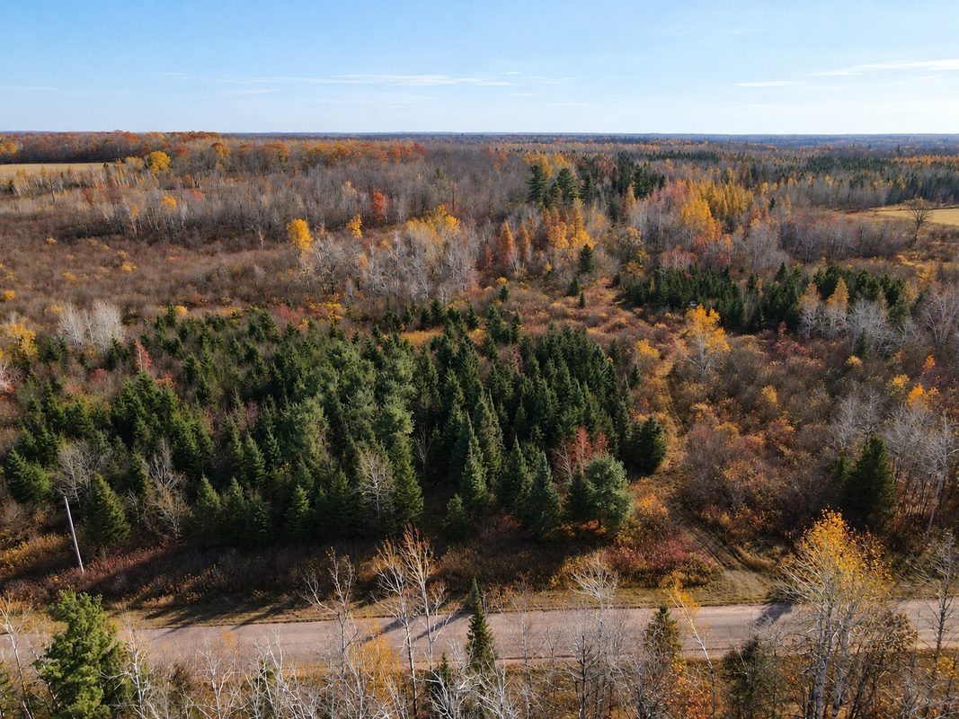 TBD Fedyn Road, Ladysmith WI 54848 - Land house for sale - MLS #1606244 - image15