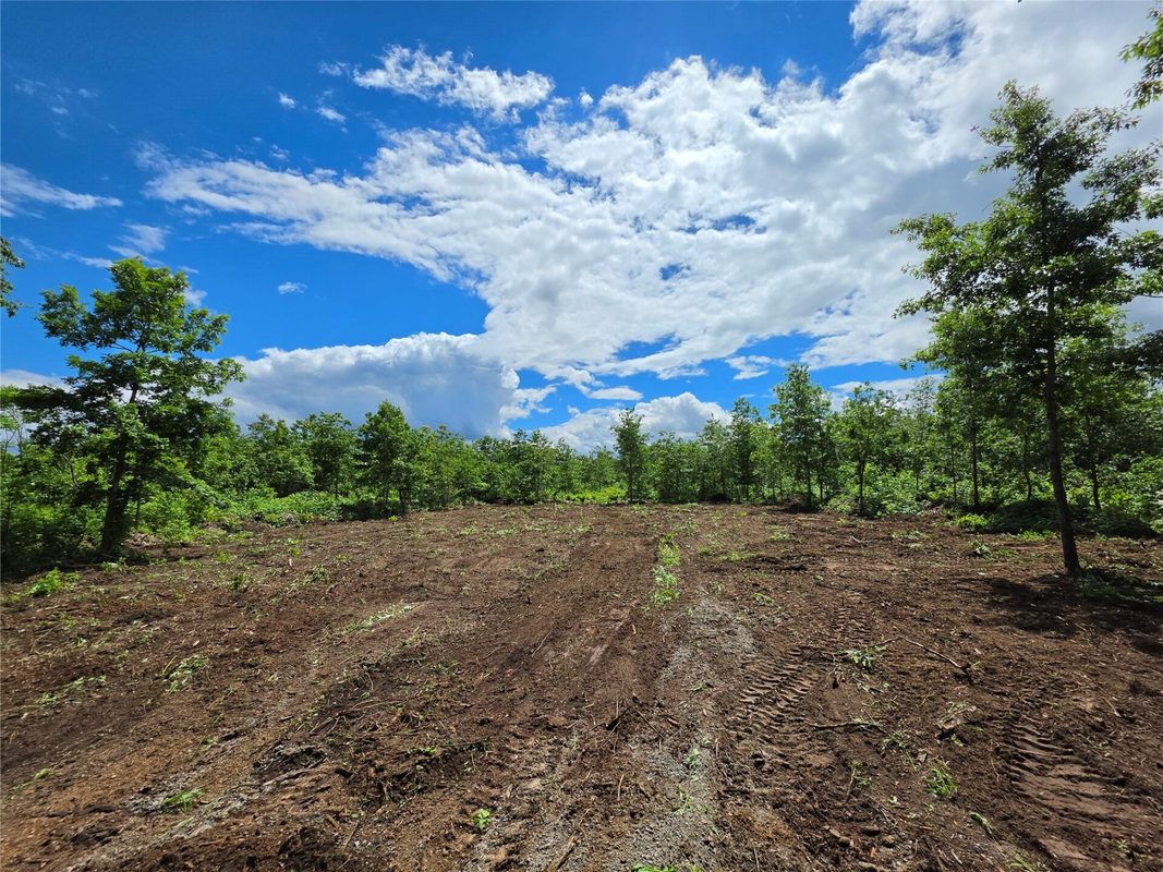 Lot 3 County Highway E, Elk Mound WI 54739 - Land house for sale - MLS #1600992 - image7