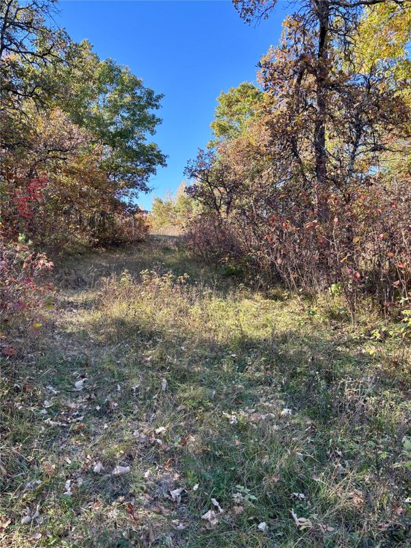 9524 Bergin Springs Road, Solon Springs WI 54873 - Land house for sale - MLS #1605714 - image3