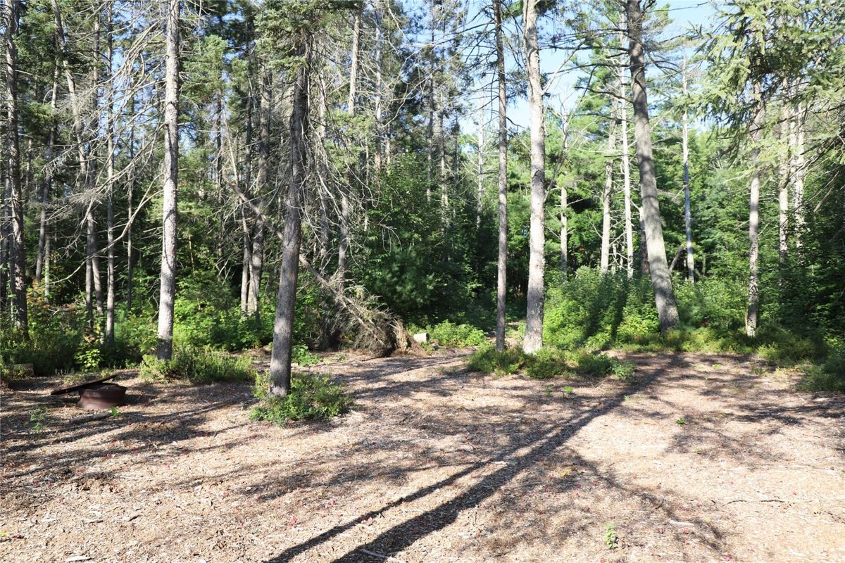 0000 Sand Lake Road, Stone Lake WI 54876 - Land house for sale - MLS #1604299 - image26