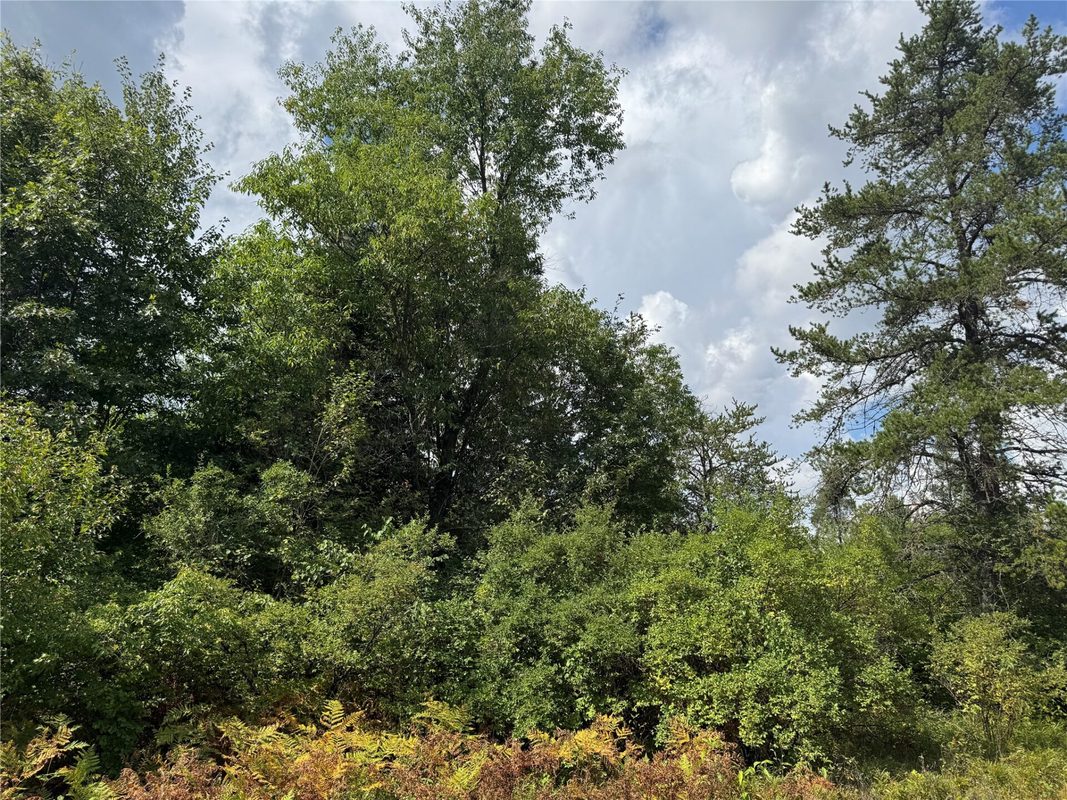 900 County Road A, Tomahawk WI 54487 - Land house for sale - MLS #1604619 - image23