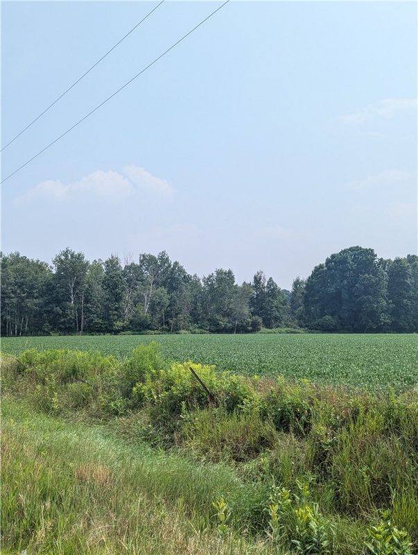 Lot 3 County Highway W, Holcombe, WI — photo 3