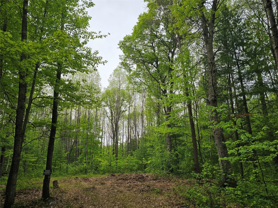 25227 Kruger Road, Webster WI 54893 - Land house for sale - MLS #1601553 - image10
