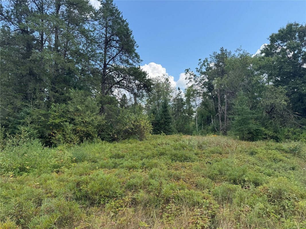 900 County Road A, Tomahawk WI 54487 - Land house for sale - MLS #1604619 - image24