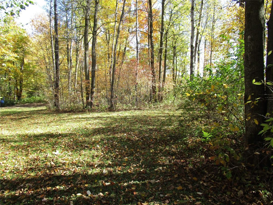 N7110 Hackett Road, Hawkins WI 54530 - Land house for sale - MLS #1600843 - image12