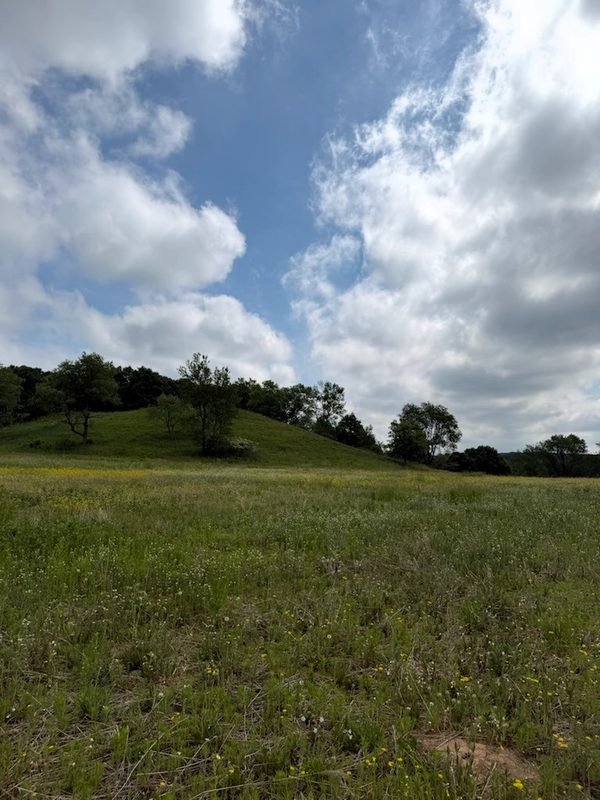 Lot 2 County Road F, Boyceville WI 54725 - Land house for sale - MLS #1601758 - image8