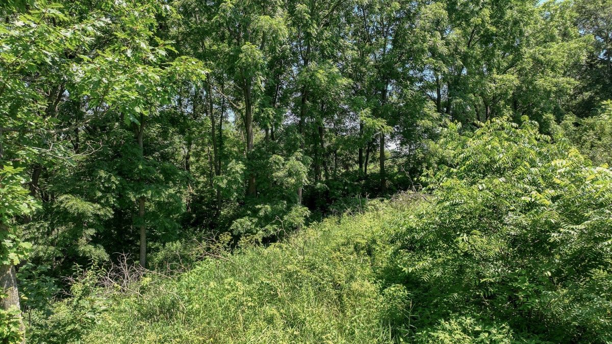 00 Garves Coulee Road, Bangor WI 54614 - Land house for sale - MLS #1603270 - image11