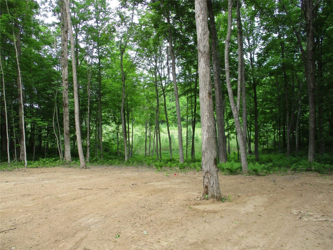 2863 Independence Way & 29 9/16 Avenue, Birchwood WI 54817 - Land house for sale - MLS #1601854 - image12