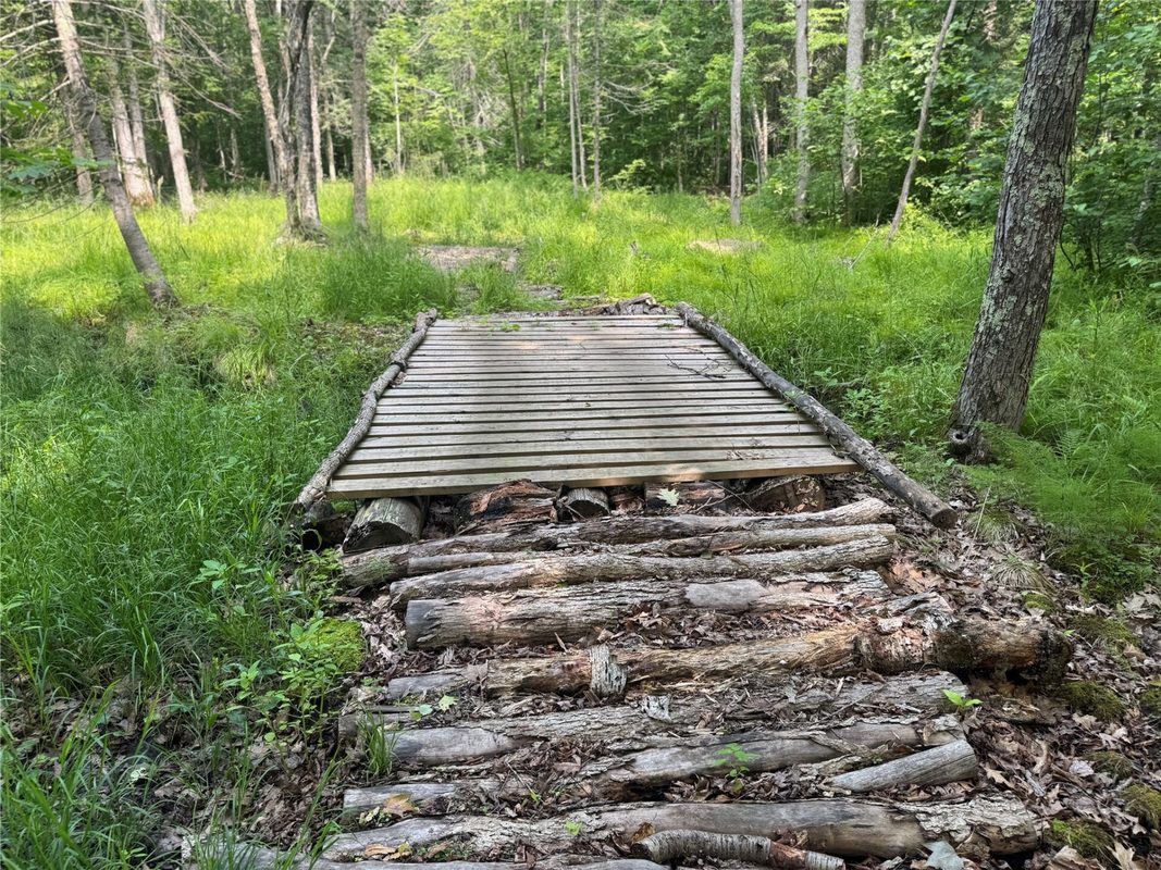 XXX Eckel Lane, Couderay WI 54835 - Land house for sale - MLS #1603143 - image38