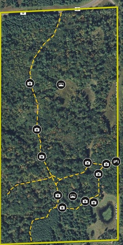 25275 Bruss Road, Webster WI 54893 - Land house for sale - MLS #1602158 - image32