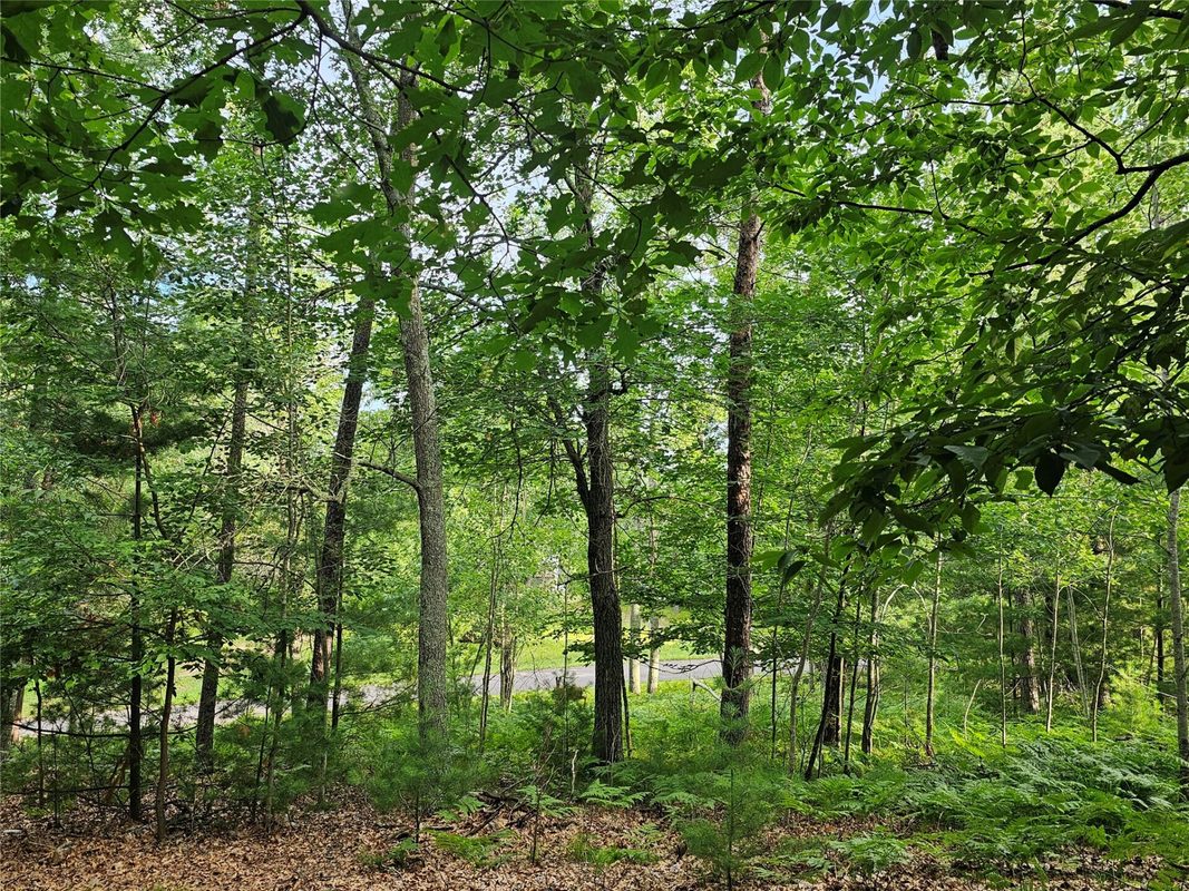 29110 Treasure Island Trail Way, Danbury WI 54830 - Residential house for sale - MLS #1603126 - image50