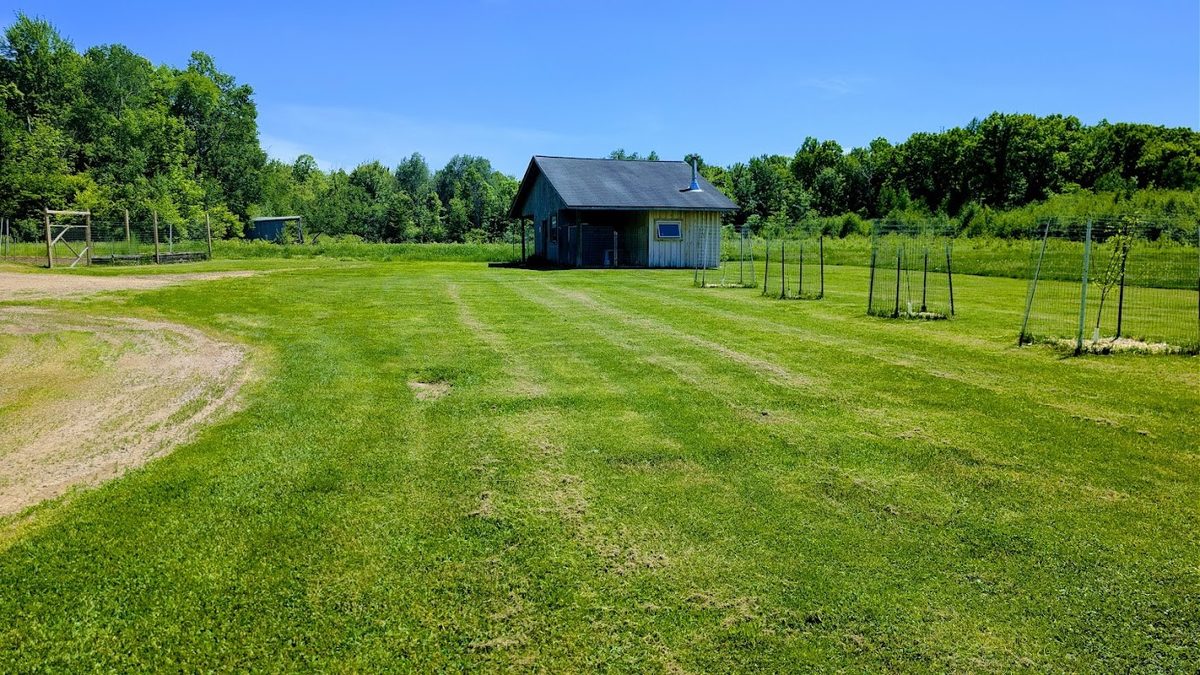 W4241 Walrath Road, Glen Flora WI 54526 - Residential house for sale - MLS #1601860 - image31