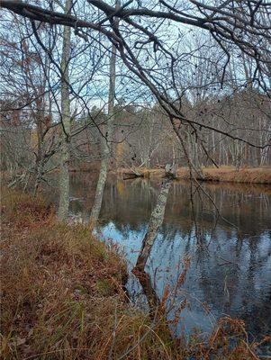 13953 E Wolf Drive, Gordon, WI