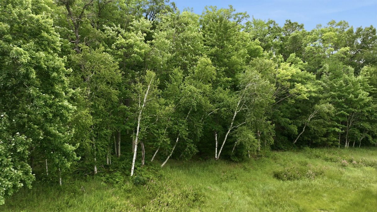 0 Goose Lake, Spooner WI 54801 - Land house for sale - MLS #1603400 - image5