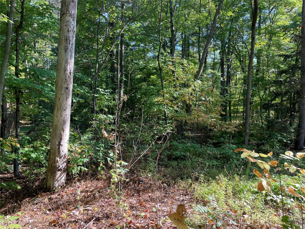 6073 Elsie Road, Stone Lake WI 54876 - Land house for sale - MLS #1602616 - image39