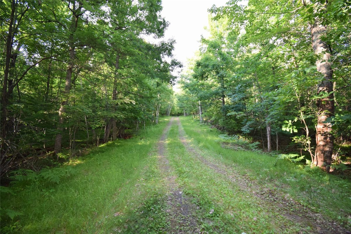 7230 County Road U, Danbury WI 54830 - Land house for sale - MLS #1602895 - image28