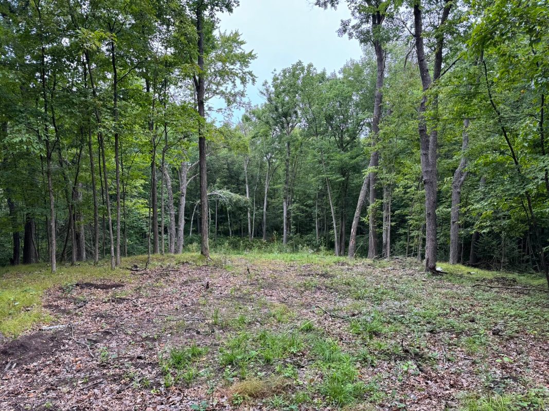 N8004 Cty Rd A, Spooner WI 54801 - Land house for sale - MLS #1604449 - image9