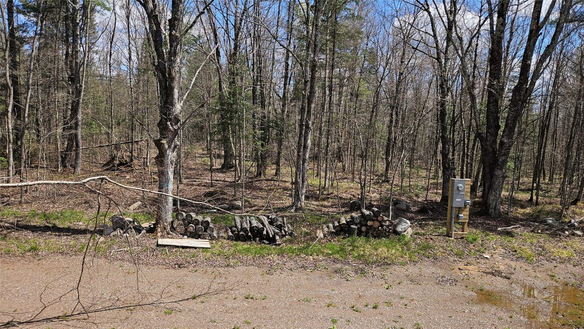 12331 W Delap Lane, Couderay, WI — photo 14