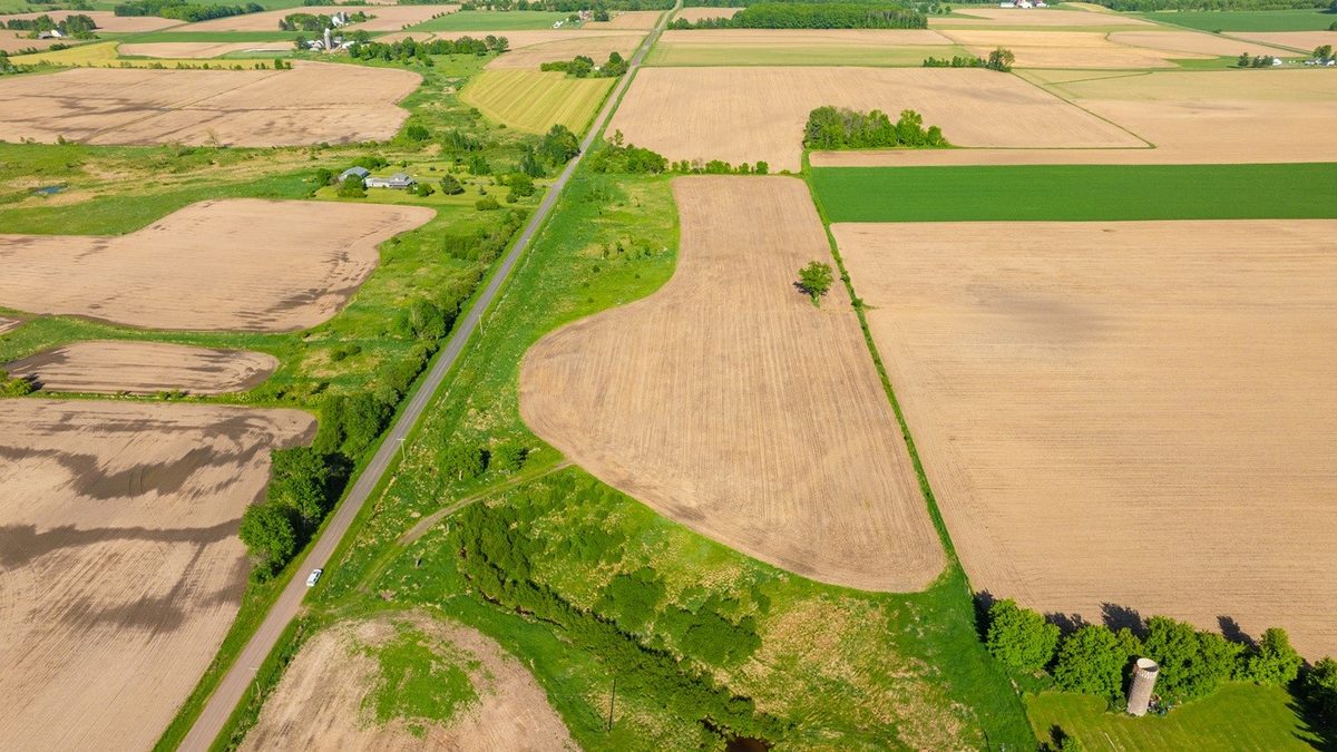 0 Nyes Road, Stanley WI 54768 - Land house for sale - MLS #1601802 - image13