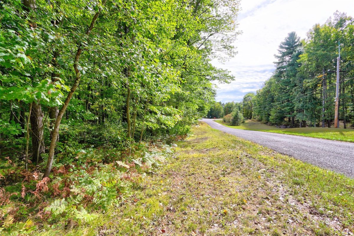 Lot 1 Larsen Road, Hayward WI 54843 - Land house for sale - MLS #1605635 - image4