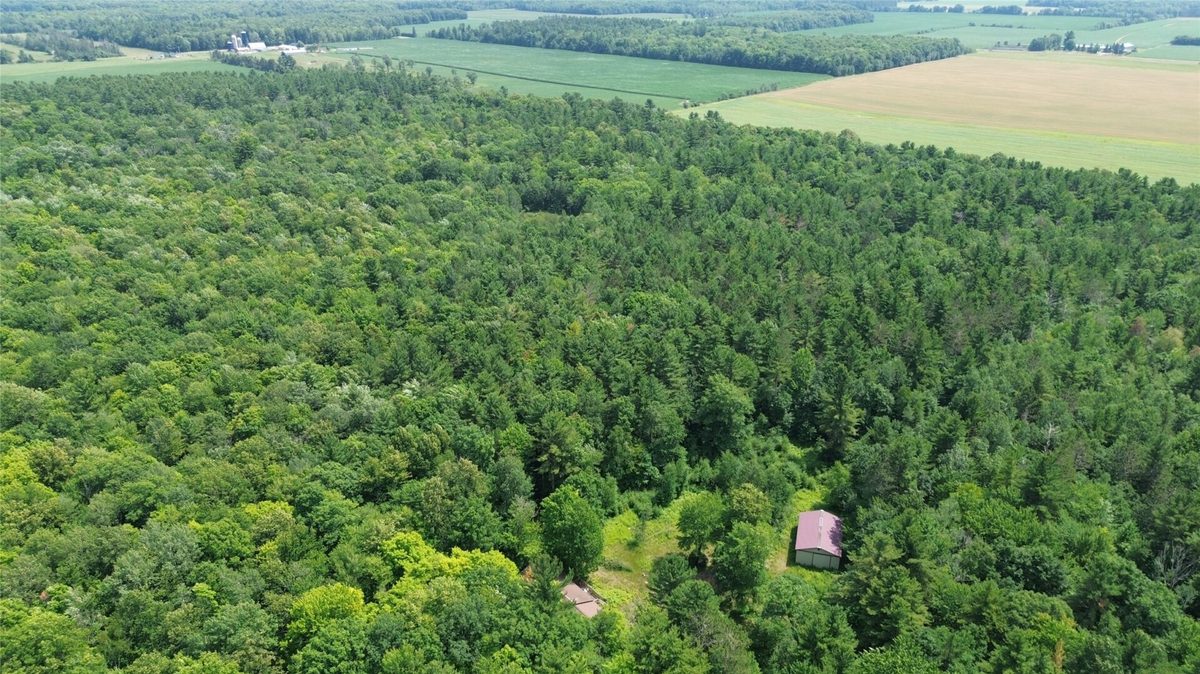 13743W State Highway 77, Hayward WI 54843 - Land house for sale - MLS #1603311 - image17