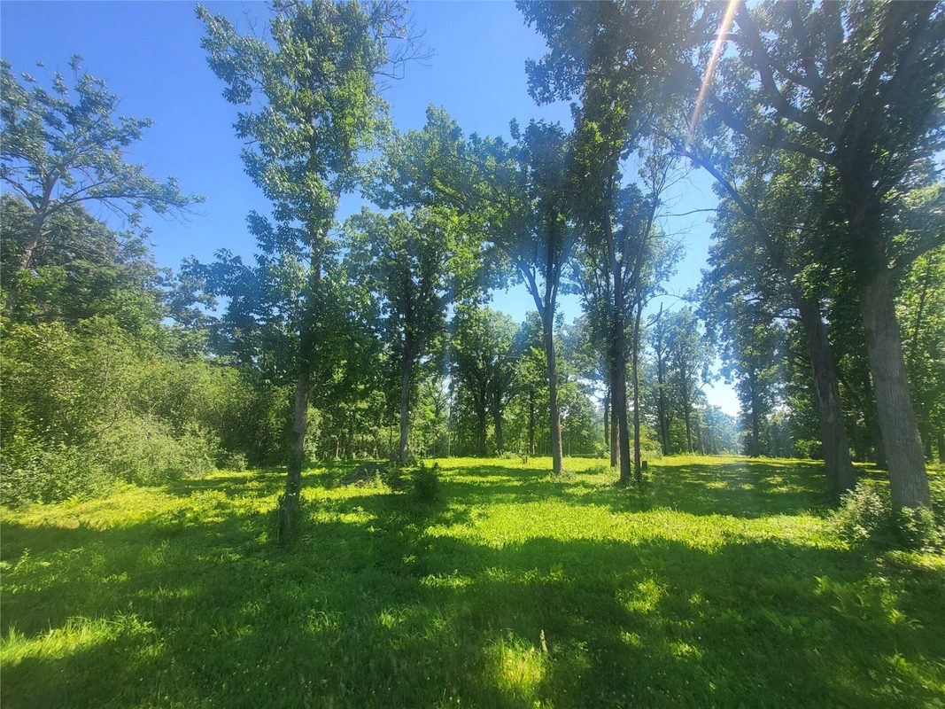 Lot 28 21st Street, Rice Lake WI 54868 - Land house for sale - MLS #1603229 - image18