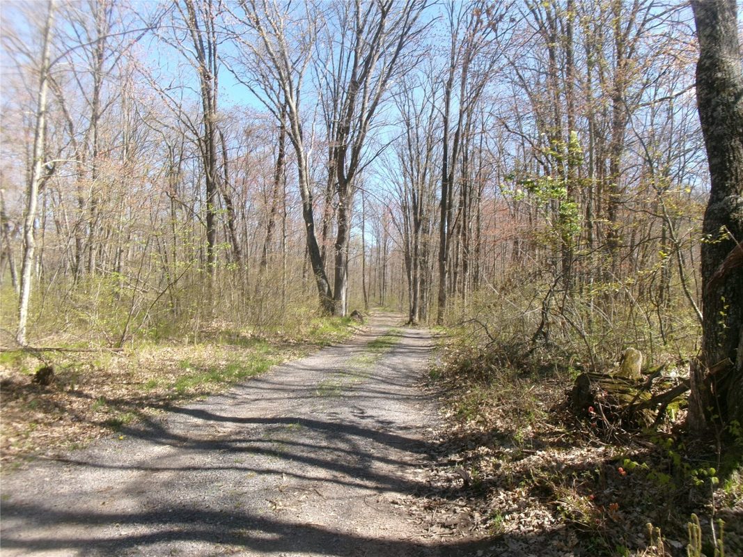 Tax ID 35410 Moody Lake Road, Sarona WI 54870 - Land house for sale - MLS #1601029 - image4
