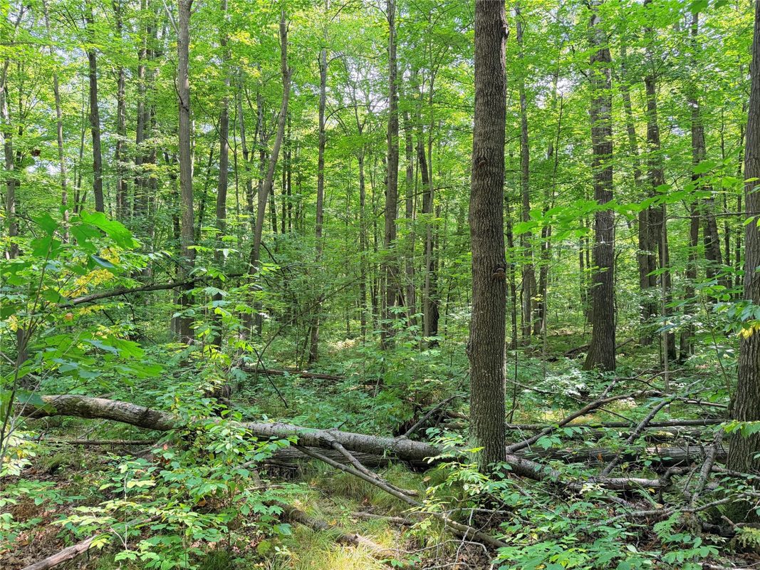 30 Acres County Highway X, Glen Flora WI 54526 - Land house for sale - MLS #1605967 - image19
