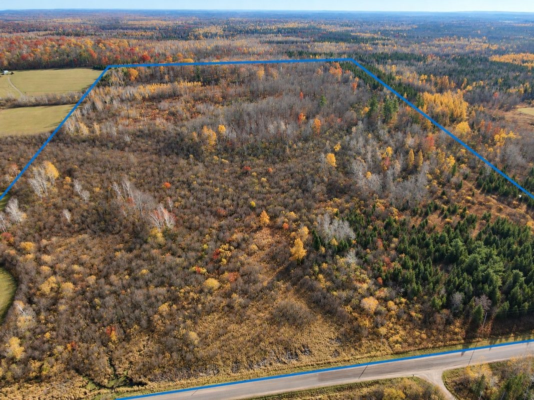 TBD Fedyn Road, Ladysmith WI 54848 - Land house for sale - MLS #1606244 - image9