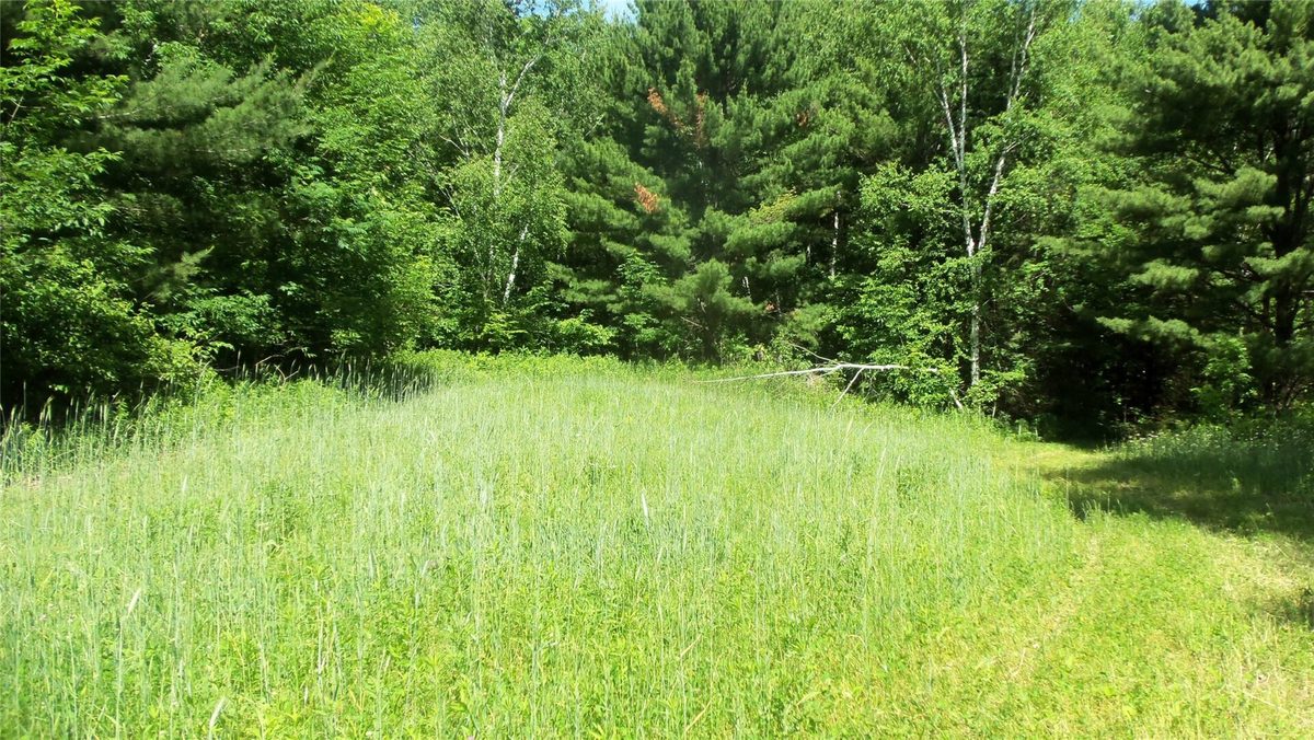 XXX Bashaw Store Road, Shell Lake WI 54871 - Land house for sale - MLS #1603494 - image29
