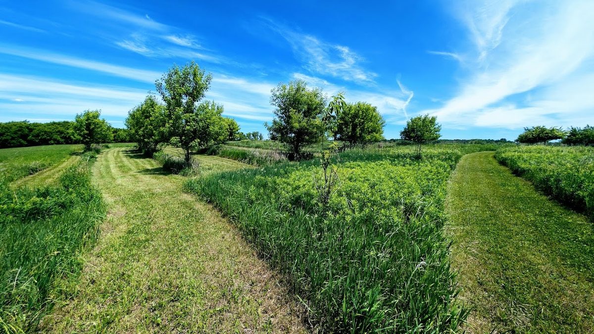 407 23rd Street, Chetek WI 54728 - Residential house for sale - MLS #1602559 - image55