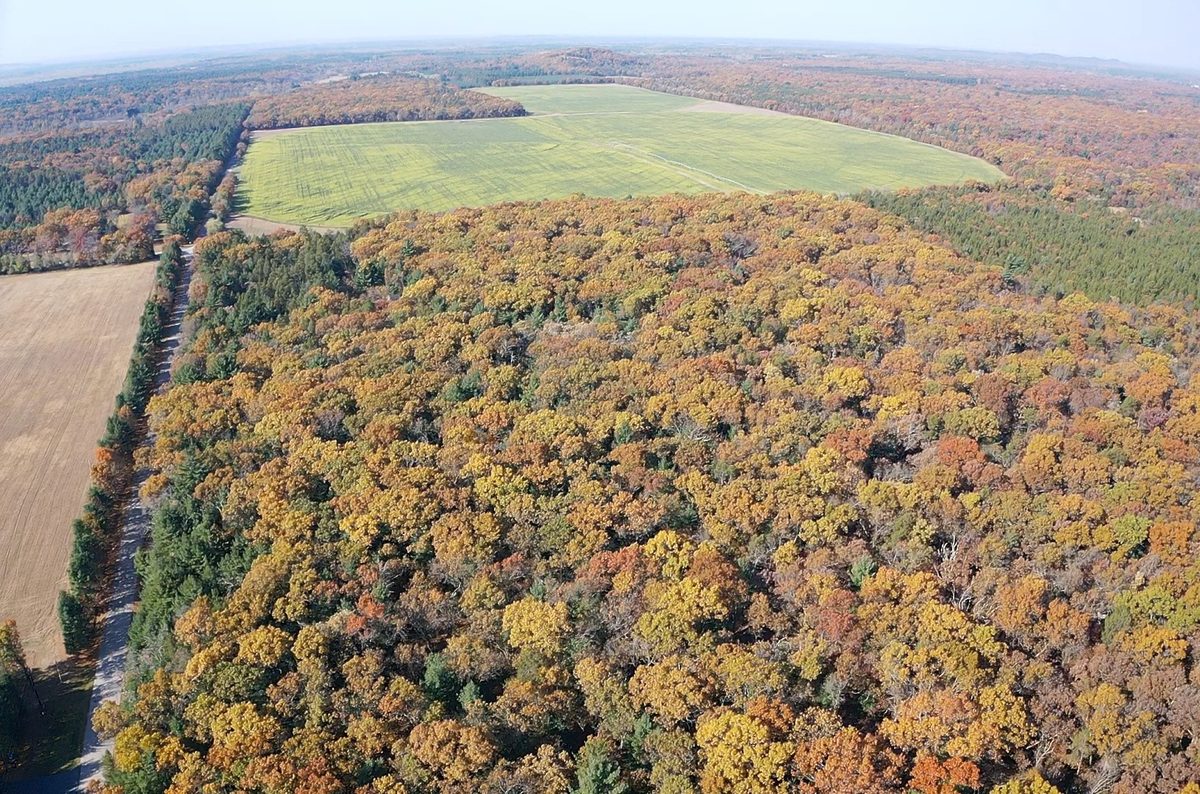 TBD Fish Drive, Grand Marsh WI 53936 - Land house for sale - MLS #1606229 - image10
