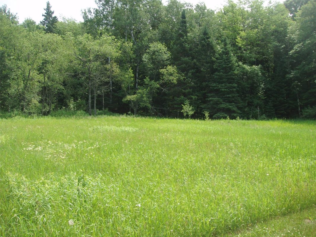 2460N County Highway FF, Butternut WI 54514 - Residential house for sale - MLS #1602950 - image9