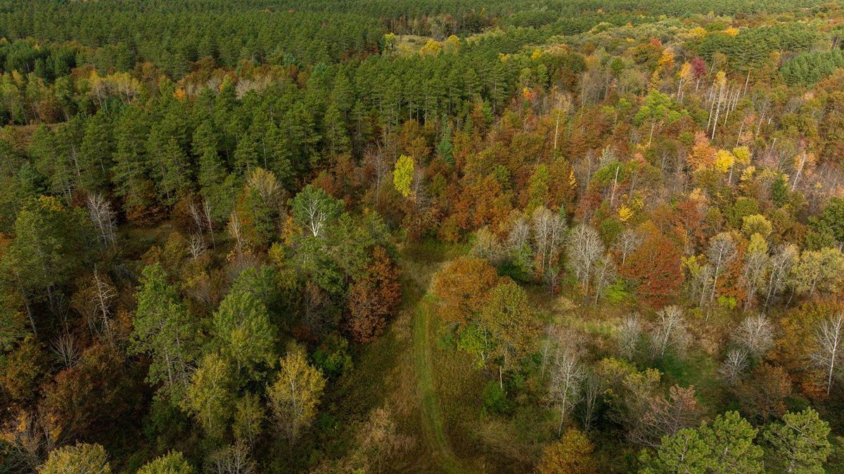0 Prairie Road, Osseo WI 54758 - Land house for sale - MLS #1605860 - image46