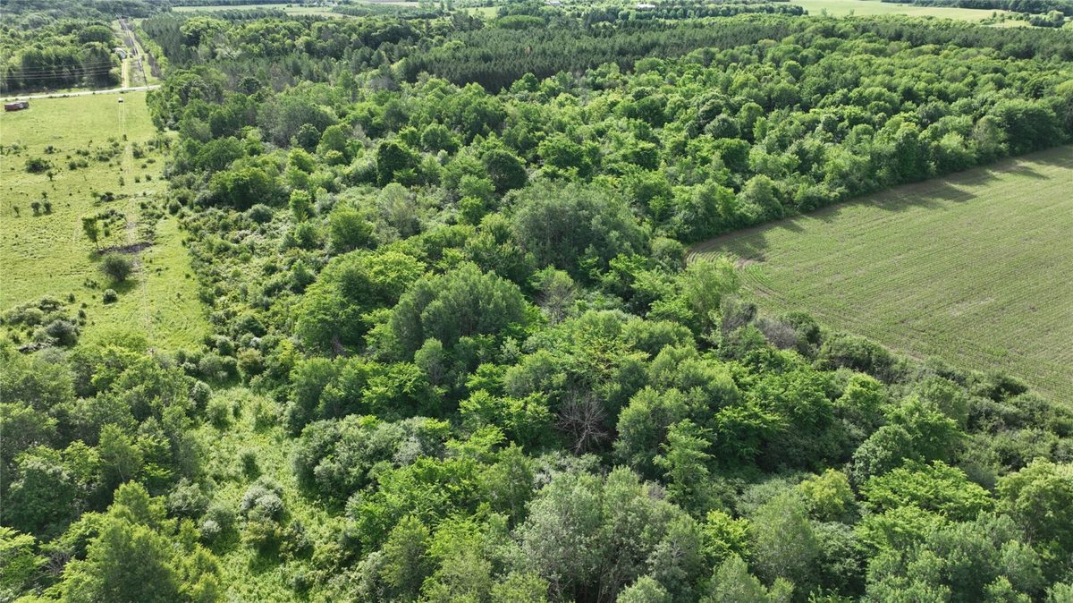 XX County Road BB, Baldwin WI 54002 - Land house for sale - MLS #1602567 - image4