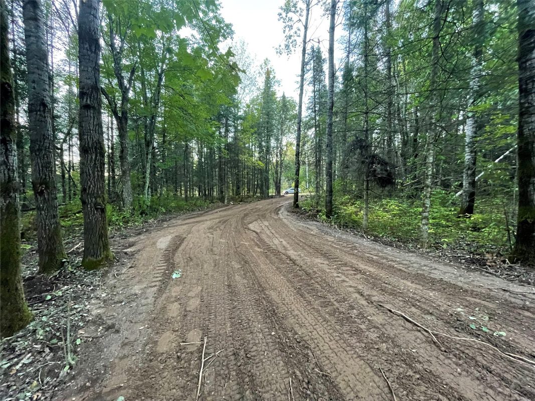 Lot 3 Fadness Road, Winter WI 54896 - Land house for sale - MLS #1605263 - image14