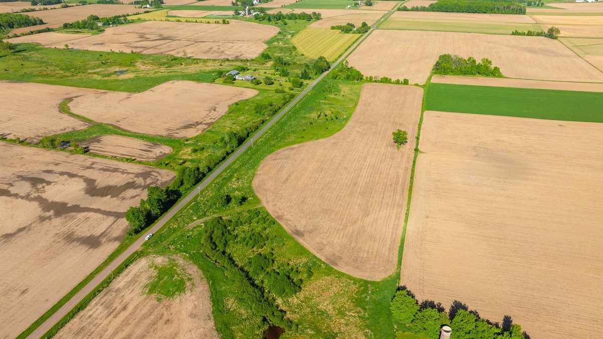 0 Nyes Road, Stanley WI 54768 - Land house for sale - MLS #1601802 - image11