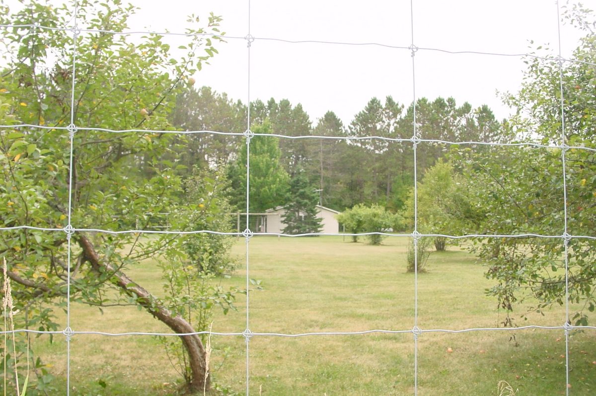 N5391 Hwy. 73, Ingram WI 54526 - Residential house for sale - MLS #1604886 - image49