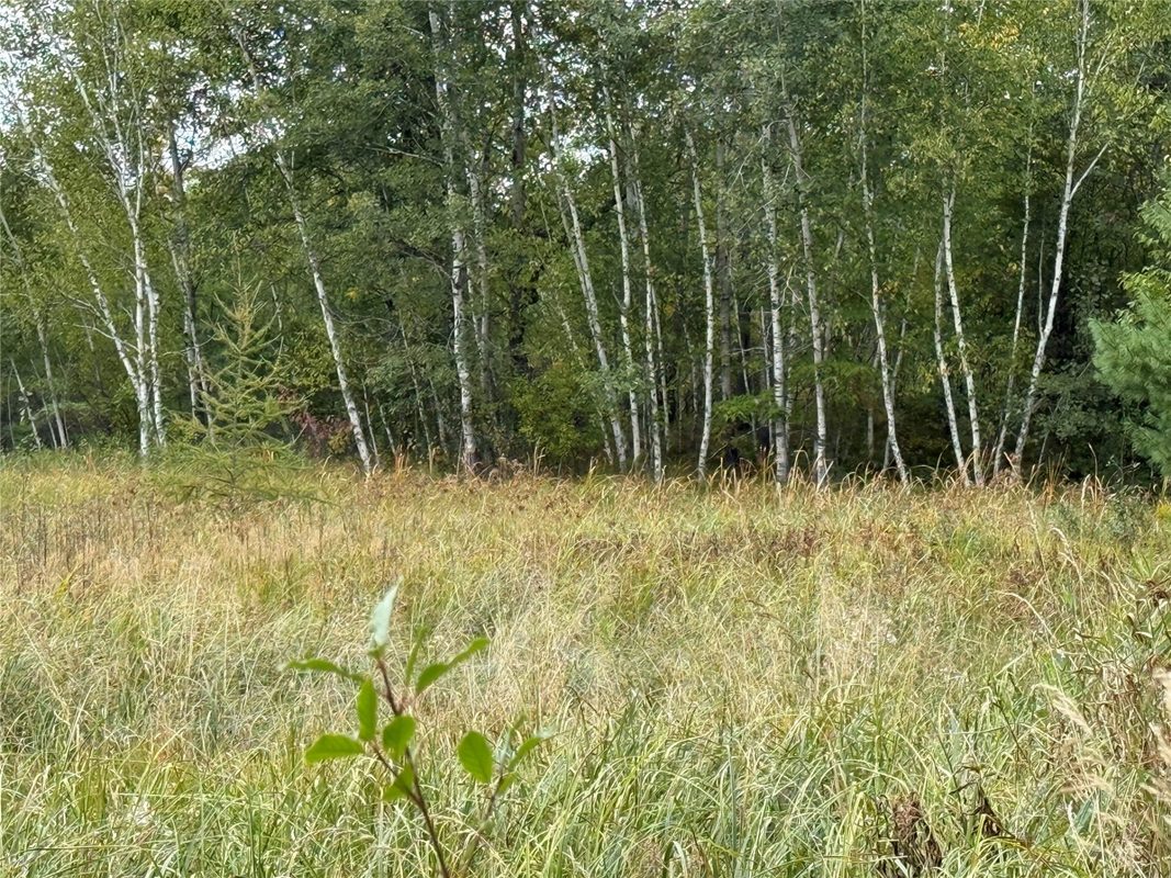 XXX 23 1/2 Street, Rice Lake WI 54868 - Land house for sale - MLS #1605312 - image16